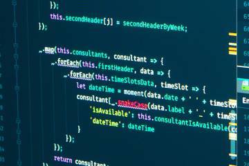 A developer's view of javascript