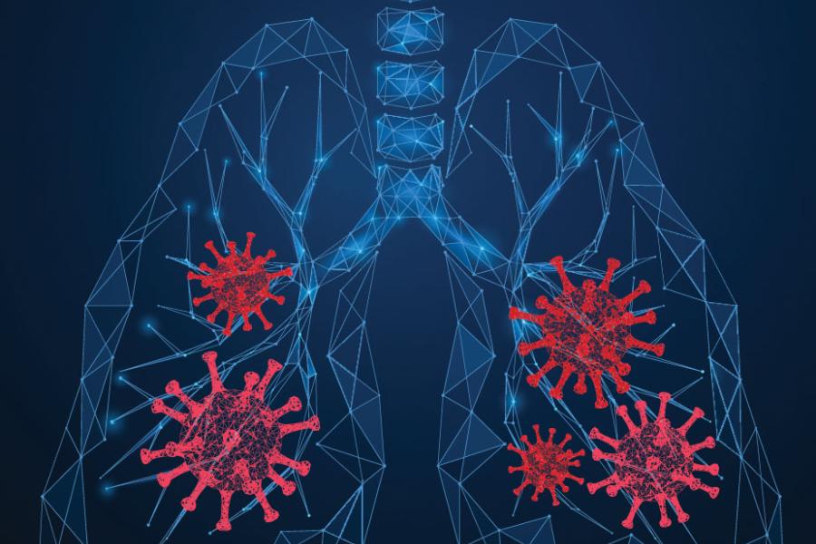 Illustration of human lungs affected by coronavirus